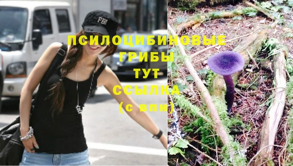 тгк Лиски